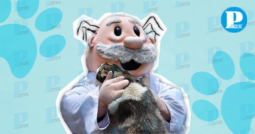 Dr. Simi ahora cuidará la salud de las mascotas con SimiPet Care