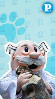 Dr. Simi ahora cuidará la salud de las mascotas con SimiPet Care