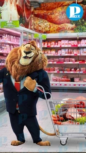 “Me pareció ver un lindo gatito” Captan a León comiendo en un supermercado  