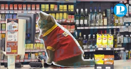 Conoce a “Minina”, la gatita y mejor empleada del Oxxo
