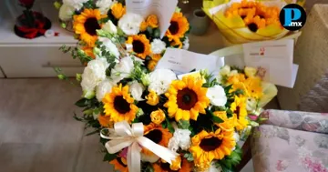Regalar flores amarillas el 21 de septiembre se ha convertido en una forma de expresar emociones que a veces no caben en palabras