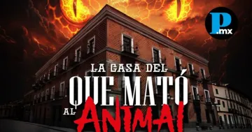 ¿Fan del terror? Llega a Puebla “La Casa del que Mató al Animal”