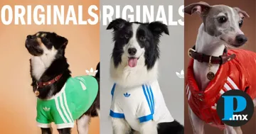 Por ahora la colección está disponible únicamente en el mercado chino