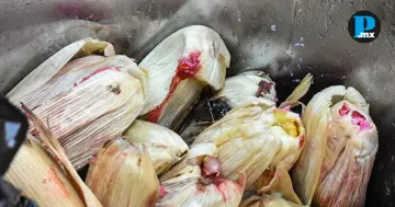 &iquest;Sab&iacute;as esto de los tamales? Te decimos datos curiosos sobre este platillo