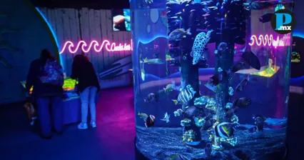 As&iacute; ser&aacute; la promoci&oacute;n del Acuario Michin para docentes y personal educativo