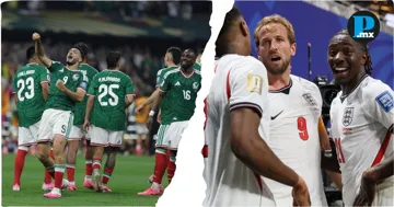 &iexcl;Mejor un depa nuevo! Rentan palco para el M&eacute;xico vs Inglaterra en 2.5 millones