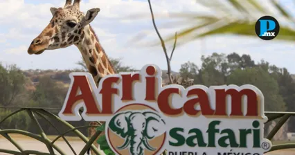Africam Safari destinar&aacute; la recaudaci&oacute;n de un d&iacute;a a apoyo humanitario para Venezuela