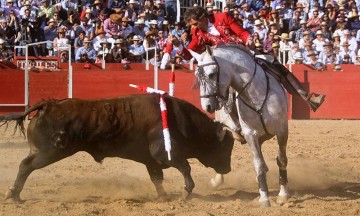 Vence Pablo Hermoso de Mendoza en Val´Quirico