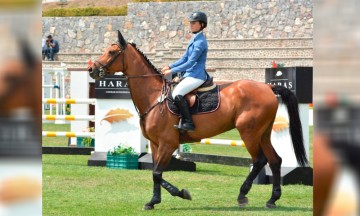 Salta Villaissa al tricolor ecuestre