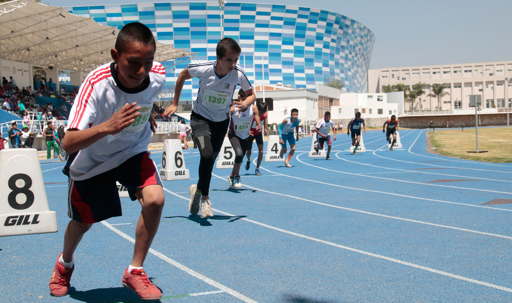 Ocultan avance en 8 obras deportivas