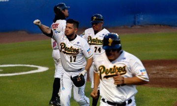 Pericos, por otro título en la Serie del Rey