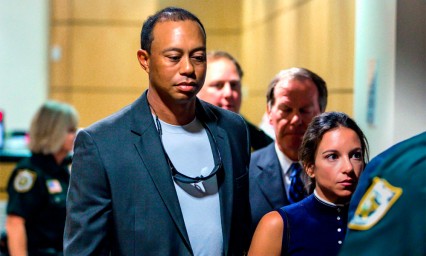 Tiger Woods, culpable de conducci&oacute;n temeraria