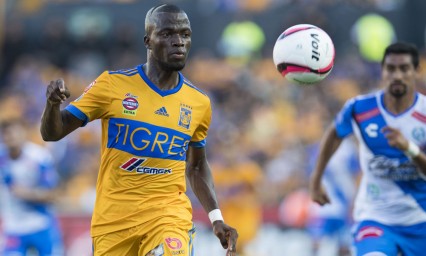 Tigres busca mantener hegemon&iacute;a