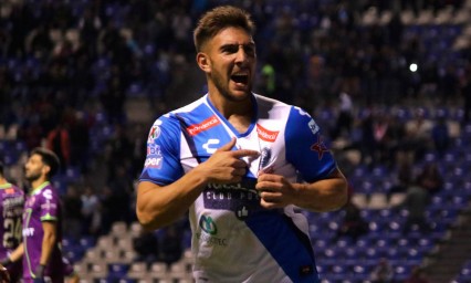 Hunde Club Puebla al Tibur&oacute;n