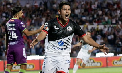 Arponazo de salvaci&oacute;n