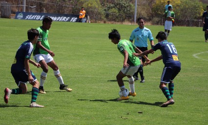 Logra el triunfo Limoneros Los Olivos