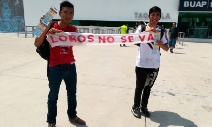 Lobos, obligados a cazar siete puntos