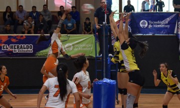 Aztecas Udlap se imponen en voleibol ante Troyanas UDEM
