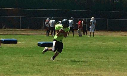 Tigres Blancos alista equipo rumbo al 2019