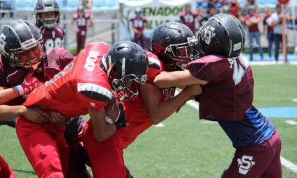 Son campeones Venados CENHCH