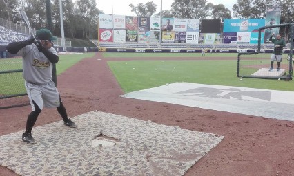 Se incorpora Barton a los Pericos