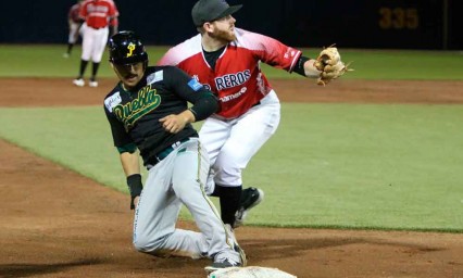 Oaxaca se queda la serie completa contra Pericos