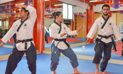 Tendr&aacute; Udlap de TKD dos semanas de arduas batallas