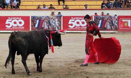 Toros: Tarde de emociones y aprendizaje