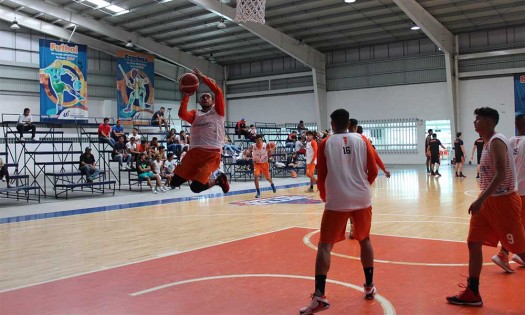 Los Halcones a triunfar en casa