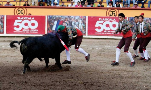 Los forcados, toreros que agarran al toro por los cuernos