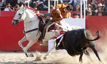 Lluvia de premios en Val’Quirico