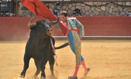 El ganado manda en la primera corrida de luces en l&iacute;nea en M&eacute;xico 
