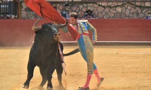 El ganado manda en la primera corrida de luces en línea en México 