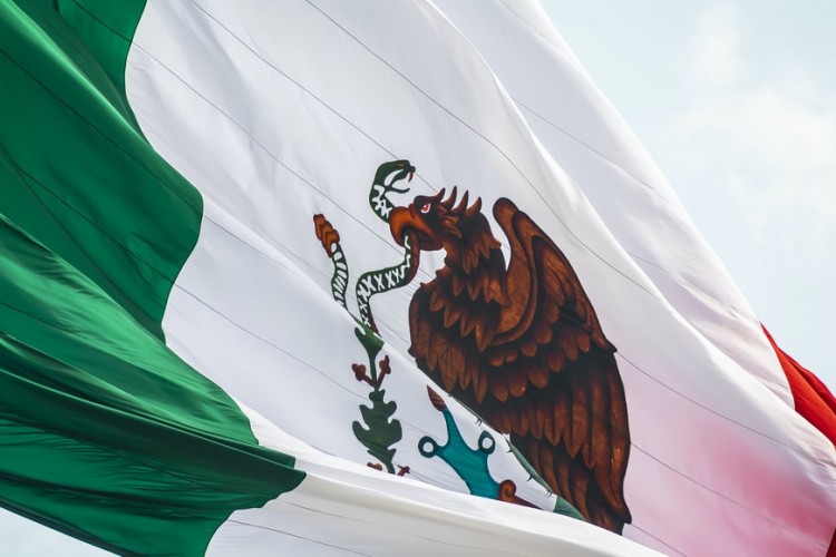 Yon de Luisa y la revolución de la Federación Mexicana de Fútbol