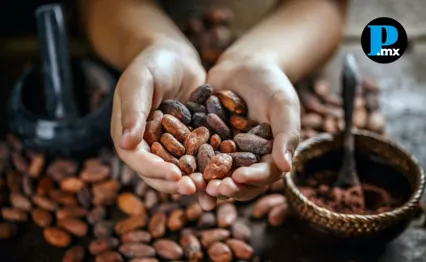 Fiesta del Cacao Mexicano en Cholula tendr&aacute; muestra gastron&oacute;mica