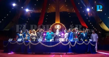 Vie de Cirque llega a Puebla con teatro, acrobacias y humor sin animales