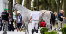 Ecuestre mexicano no podrá participar en la final de París 2024 por un problema veterinario de la yegua