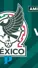 Fecha y hora de los amistosos de México ante Suiza y Turquía previo a Copa Oro