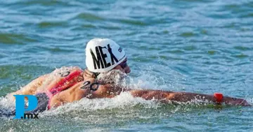 ¡Histórico! México arrasó en Medellín en el primer Campeonato Panam Aquatics