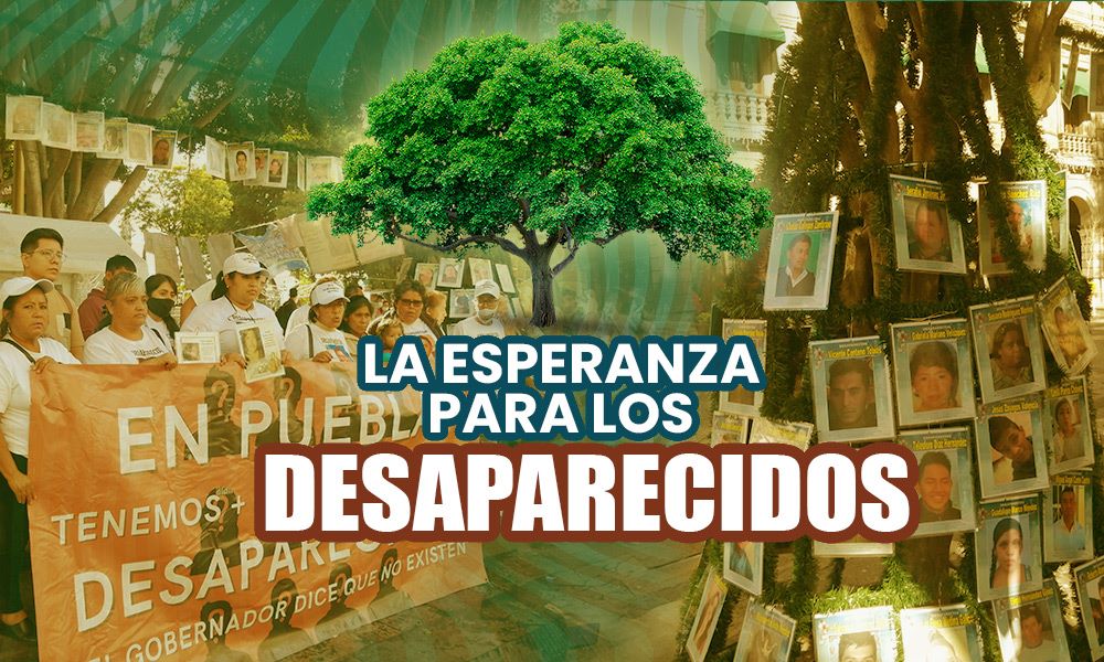 Voz de los Desaparecidos coloca su Árbol de la Esperanza en Puebla