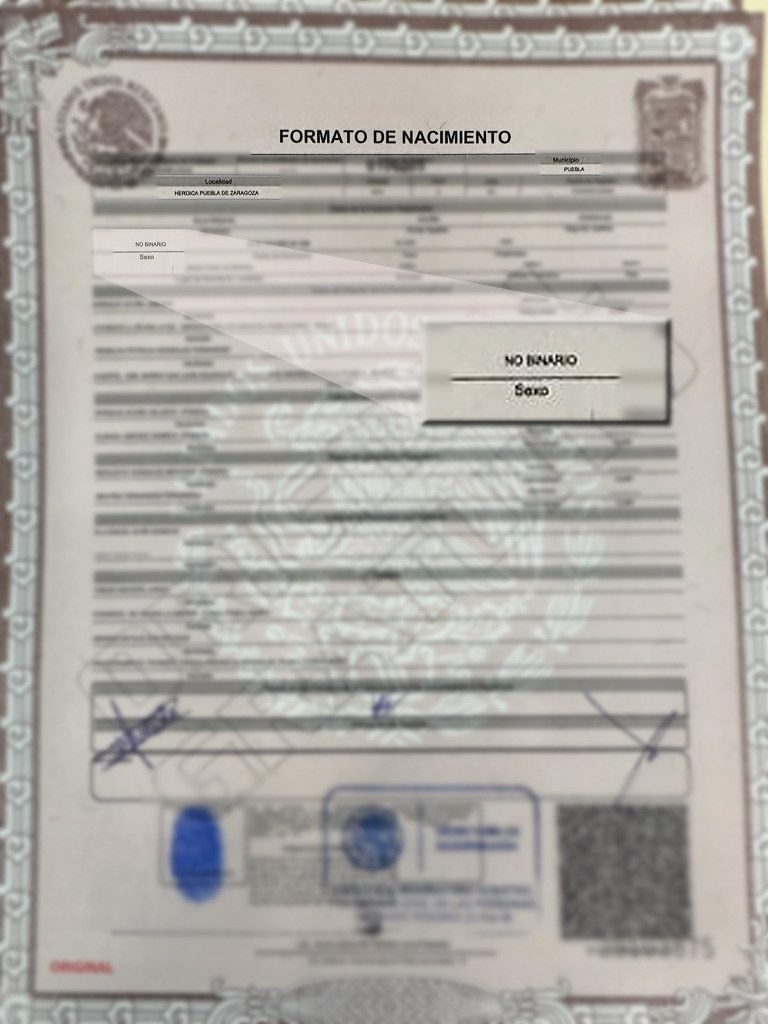 La Secretaría de Gobernación (SEGOB) en Puebla expidió la primera acta de nacimiento con género no binario