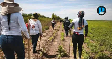 La ONU advirti&oacute; sobre los riesgos y la violencia que enfrentan las mujeres buscadoras en M&eacute;xico durante su labor para localizar a personas desaparecidas.