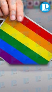 Participación de la Comunidad LGBT en elecciones 2024   