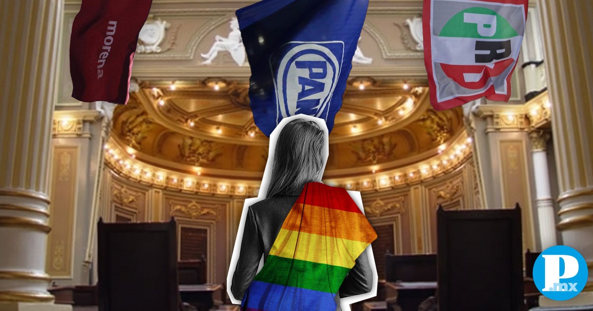 Miembro LGBTTTIQ+  no tienen representación en el congreso 