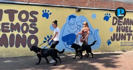 La Escuela para Entrenamiento de Perros Gu&iacute;a mantiene cerca de 60 animales en distintas etapas de formaci&oacute;n y requiere 5 millones de pesos para superar su crisis financiera.