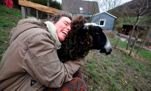 ¿Te sientes triste? Una granja alemana da la oportunidad de abrazar ovejas para combatir la soledad