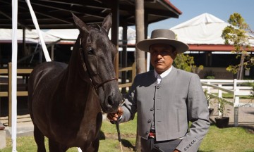 Realizan campeonato del caballo