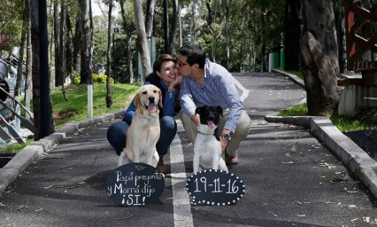 Unen sus vidas Estephania y Miguel