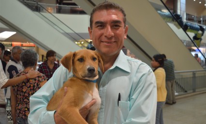 Listos para darles un nuevo hogar