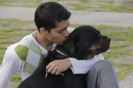 En M&eacute;xico tu perro tambi&eacute;n est&aacute; seguro